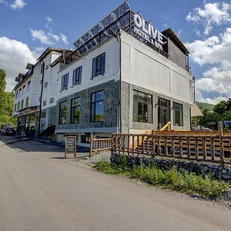 Olive Ala-Archa Hotel & Spa Verkhnyaya Alaarcha Ngoại thất bức ảnh